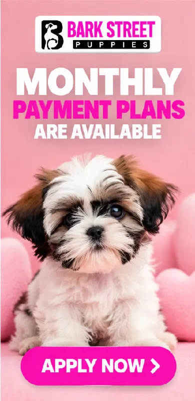 Monthly Payment Plans Available