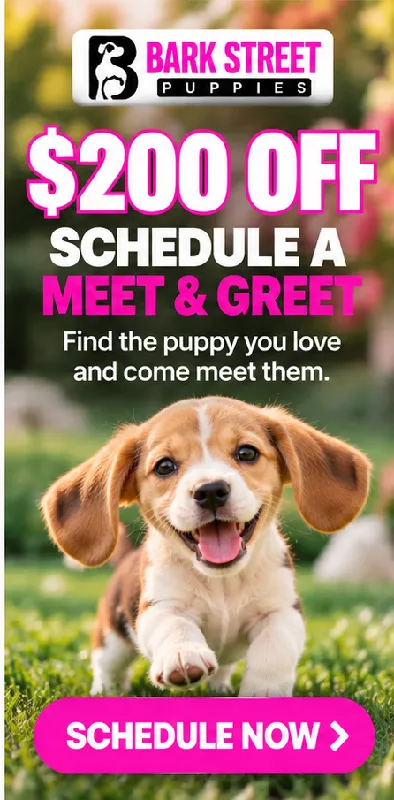 Schedule a Meet & Greet