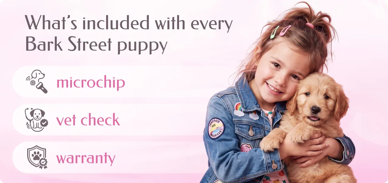 What's included with a Bark Street Puppy